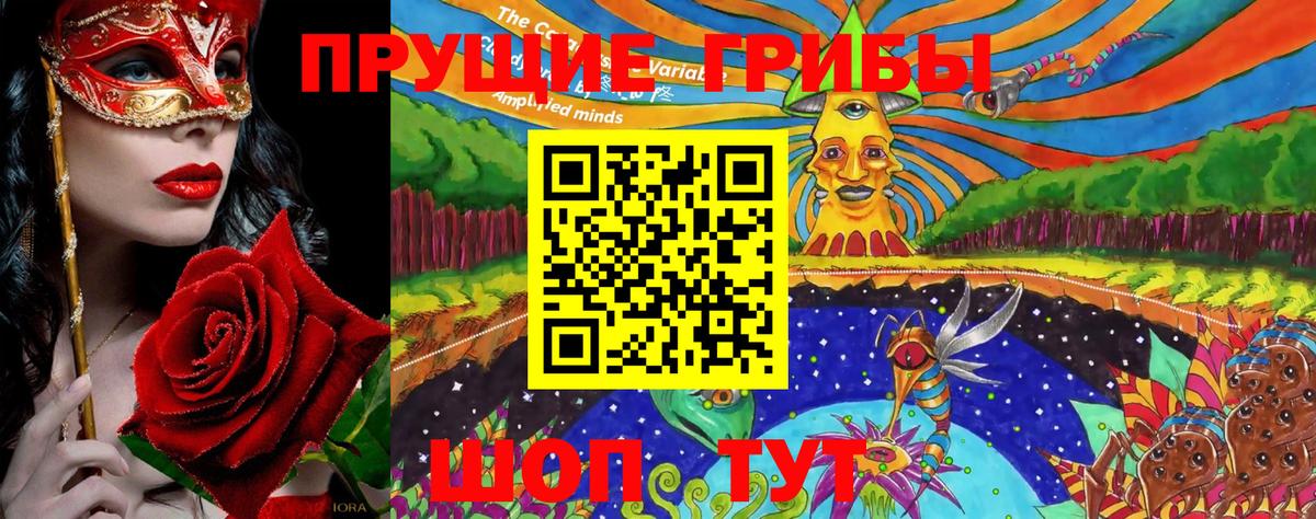 Псилоцибиновые грибы Magic Shrooms  Вход с VPN  Шадринск  Псилоцибиновые грибы мицелий 